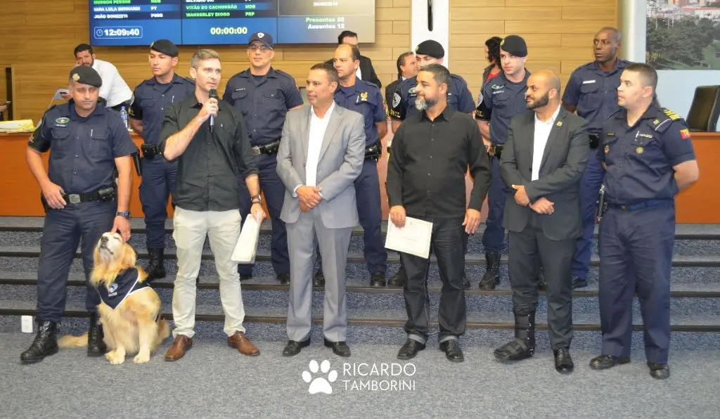sobre, ricardo tamborini- adestrador - especialista em comportamento canino - homenageado em sorocaba, fique por dentro