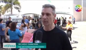 Vídeos de adestramento e comportamento canino, Caminhada Amigo Pet 2024