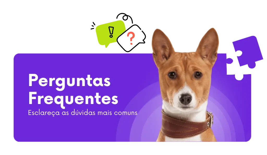 perguntas frequentes