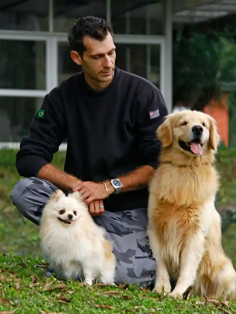 adestramento de cães